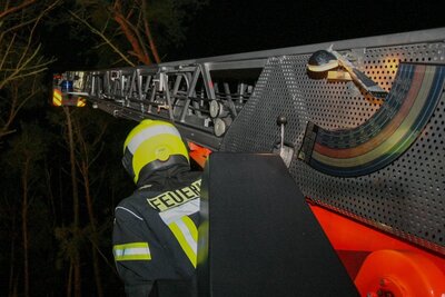 Foto des Albums: Einsatz 022/2021 - vier Bäume