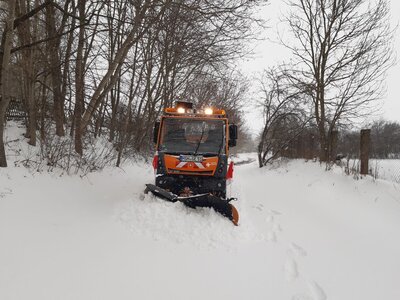 Foto des Albums: Winter 2021