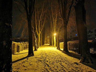 Foto des Albums: Schneeromantik in Pritzwalk