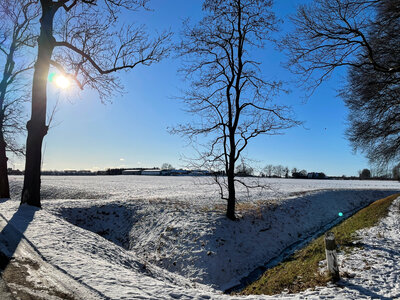 Foto des Albums: Schneeromantik in Pritzwalk