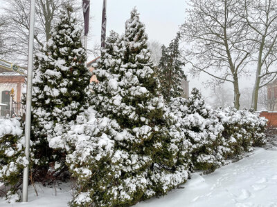 Foto des Albums: Schneeromantik in Pritzwalk