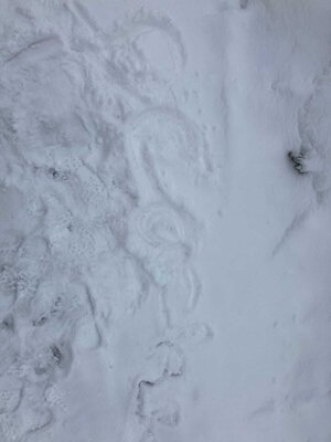 Foto des Albums: Impressionen im Schnee Klasse 2a