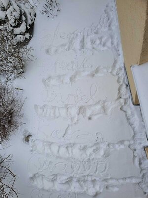 Foto des Albums: Impressionen im Schnee Klasse 2a