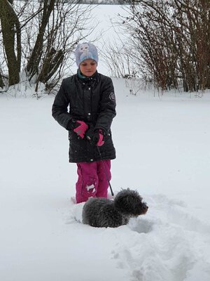 Foto des Albums: Impressionen im Schnee Klasse 2a