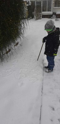 Foto des Albums: Impressionen im Schnee Klasse 2a