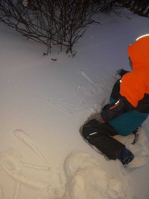 Foto des Albums: Impressionen im Schnee Klasse 2a