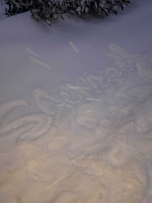 Foto des Albums: Impressionen im Schnee Klasse 2a
