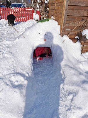 Foto des Albums: Impressionen im Schnee Klasse 2a