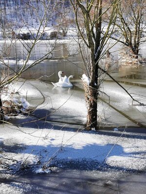 Foto des Albums: Impressionen im Schnee Klasse 2a