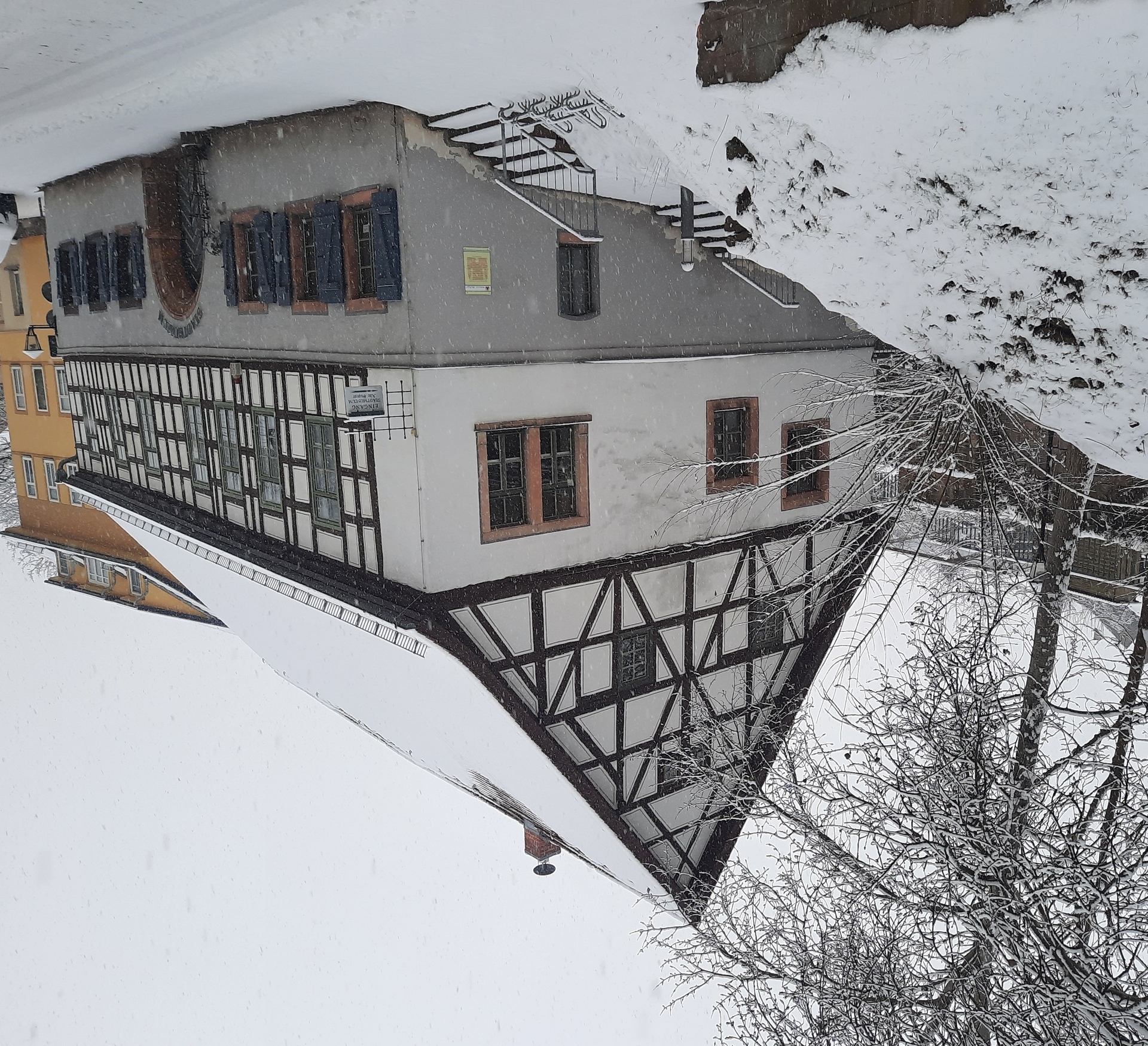 Bild: 20210126 092712