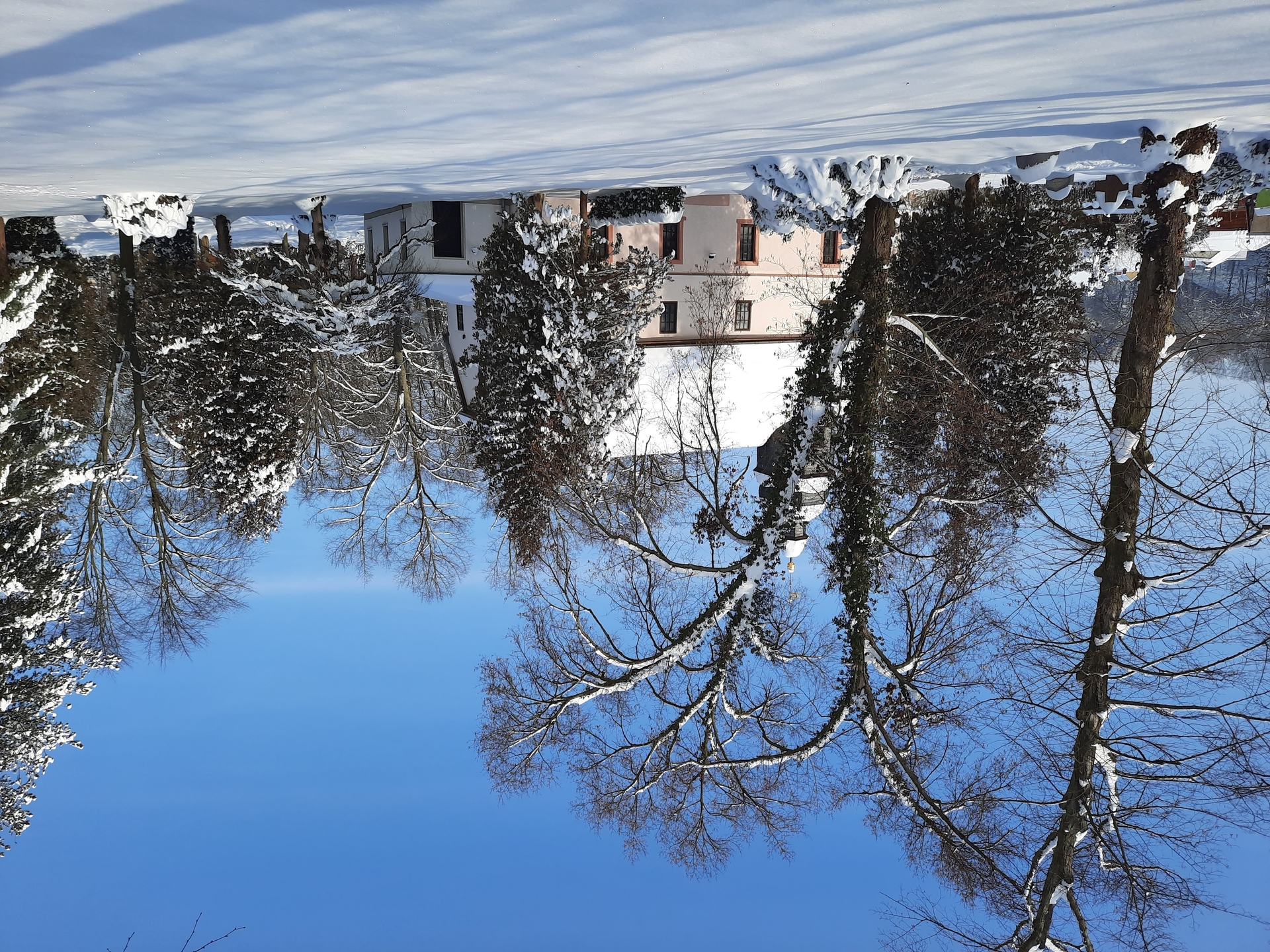 Bild: 20210210 125908