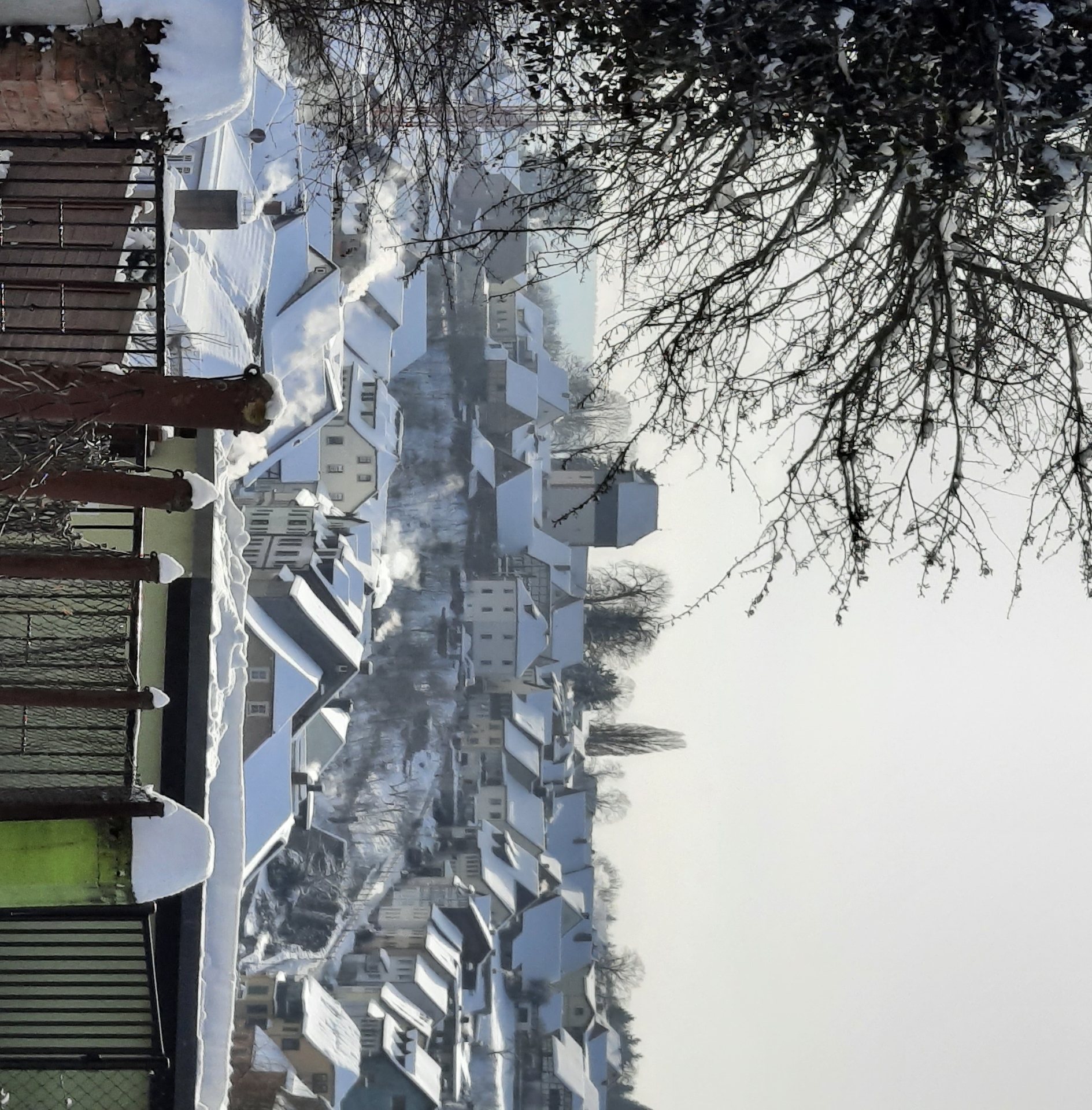 Bild: 20210210 130613