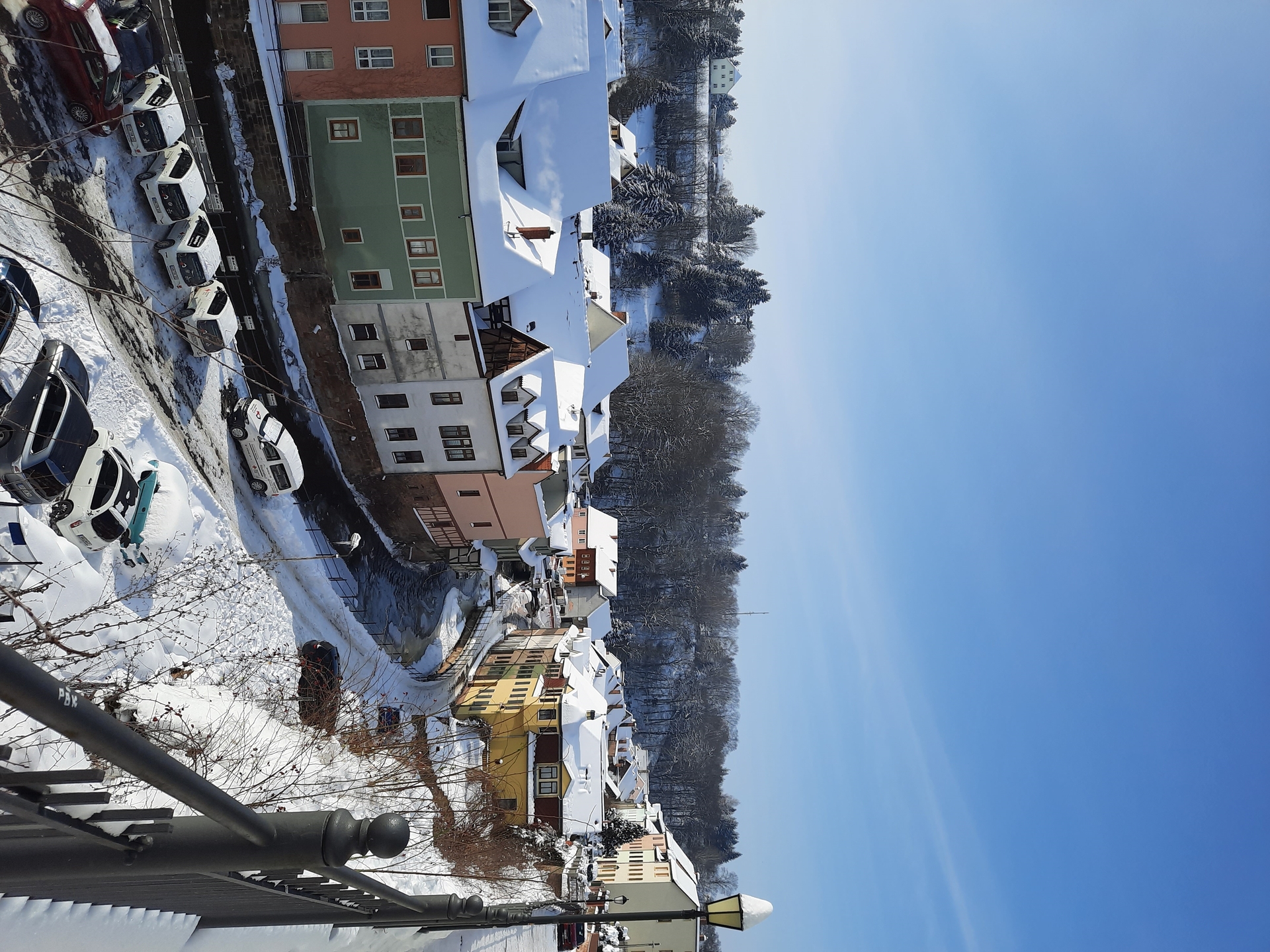 Bild: 20210210 130825