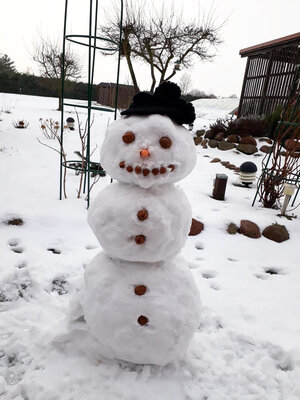 Schneemann-Version von Familie Falk in Pritzwalk.  (Bild vergr&ouml;&szlig;ern)