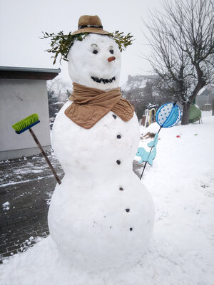 Den riesigen Schneemann baute Tony K&ouml;hlert f&uuml;r seine beiden Kinder. Foto: Privat  (Bild vergr&ouml;&szlig;ern)