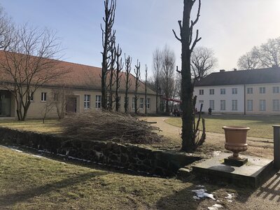 Foto des Albums: Baumschnitt am Pappelrondel vor Schloss Paretz (19.02.2021)