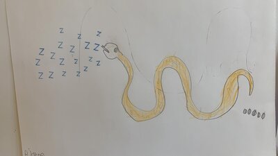 Foto des Albums: Z wie Zauberer Klasse 1a