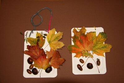 Foto des Albums: Herbstzauber