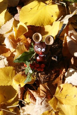 Foto des Albums: Herbstzauber