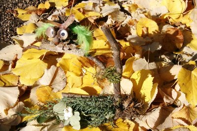 Foto des Albums: Herbstzauber