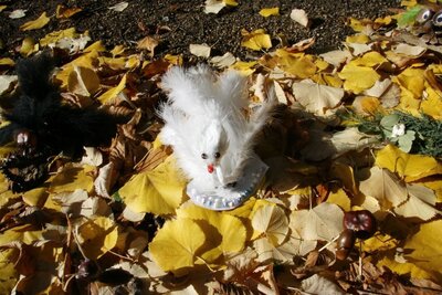 Foto des Albums: Herbstzauber