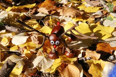 Foto des Albums: Herbstzauber