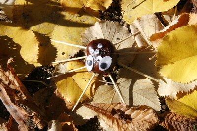 Foto des Albums: Herbstzauber