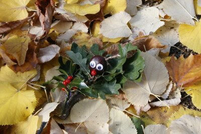 Foto des Albums: Herbstzauber