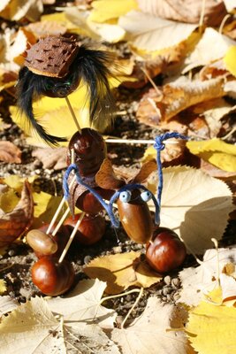 Foto des Albums: Herbstzauber