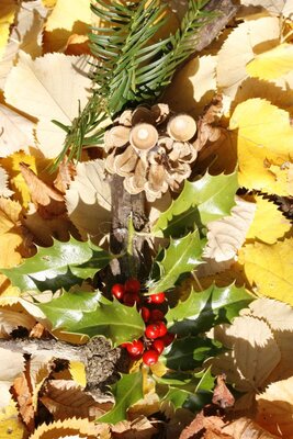 Foto des Albums: Herbstzauber