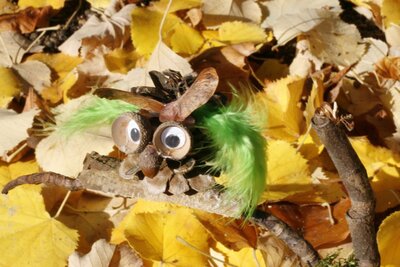 Foto des Albums: Herbstzauber