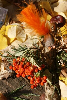 Foto des Albums: Herbstzauber