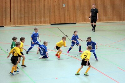 Foto des Albums: F-Junioren Verbandspokal Halle Altshausen 2020 (19. 01. 2020)