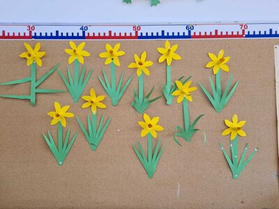 Foto des Albums: Frühblüher Jahrgang 2