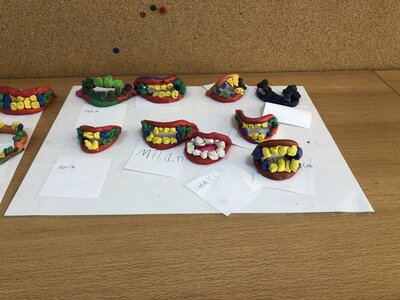 Foto des Albums: Impressionen aus der Klasse 1c