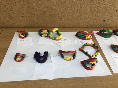 Foto des Albums: Impressionen aus der Klasse 1c