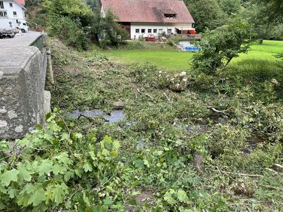 14.09.2021 Das Vorland der Schwarza wurde heute gerodet  (Bild vergr&ouml;&szlig;ern)