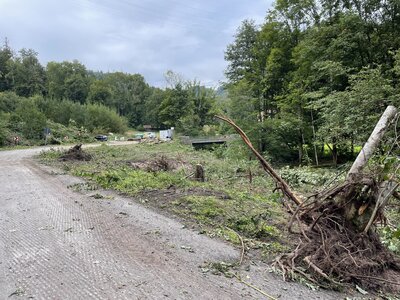 14.09.2021 Das Vorland der Schwarza wurde heute gerodet  (Bild vergr&ouml;&szlig;ern)