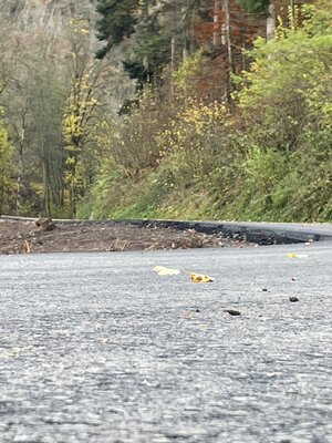 08.11.2021 (nach der Ausfahrt Witznau in Richtung Gutenburg)  (Bild vergr&ouml;&szlig;ern)