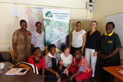 Foto des Albums: WoFaAK  Activities