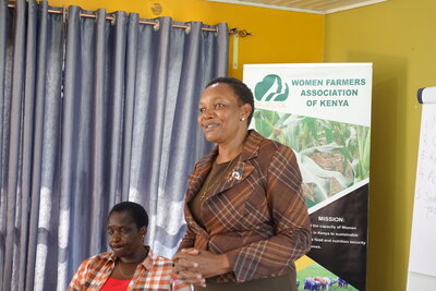 Foto des Albums: WoFaAK  Activities