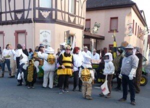 Foto des Albums: Öffentliche Vereinsauftritte