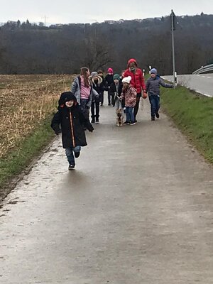 Foto des Albums: Spaziergang anstatt Sportunterricht
