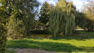 Teich Bethenhausen 