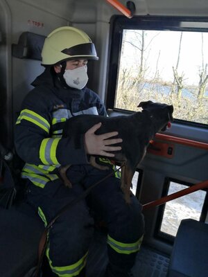 Foto des Albums: Einsatz 04/2021