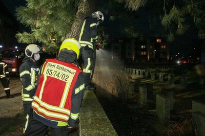 Foto des Albums: Einsatz 075/2021 - Flächenbrand