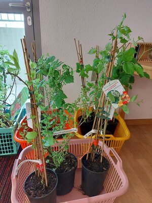 Spende der Raiffeisen BHG Waldkirchen 20.04.2021 