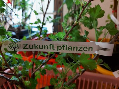 Spende der Raiffeisen BHG Waldkirchen 20.04.2021 