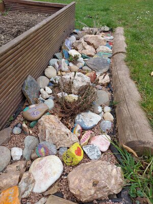 Unser Steingarten mit selbstgestalteten Steinen aus der Corona-Schlange vom letzten Jahr. 