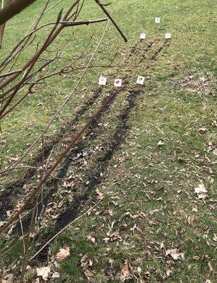 Pflanzenschilder laden zum Entdecken ein. 